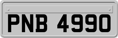 PNB4990