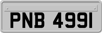 PNB4991