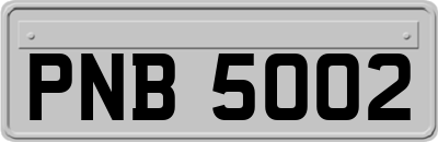 PNB5002