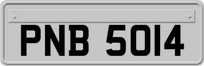 PNB5014
