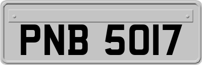 PNB5017