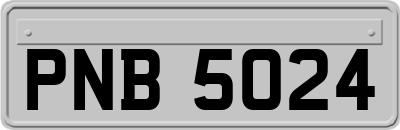 PNB5024