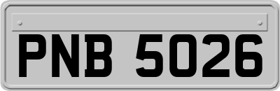 PNB5026