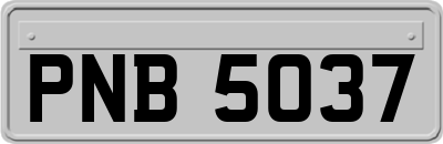 PNB5037