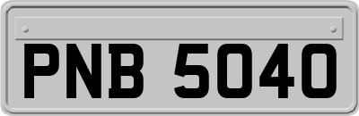 PNB5040