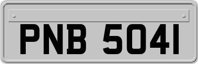 PNB5041