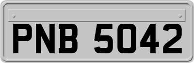 PNB5042