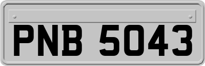 PNB5043