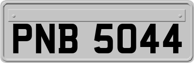 PNB5044