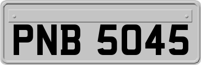 PNB5045
