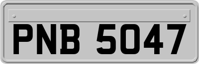 PNB5047