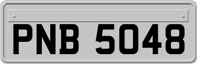 PNB5048