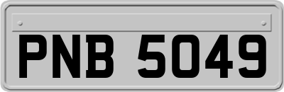 PNB5049