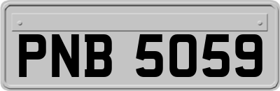 PNB5059