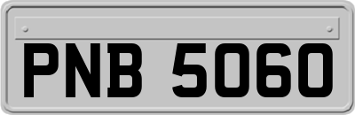 PNB5060