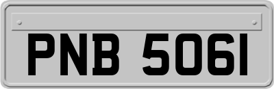PNB5061