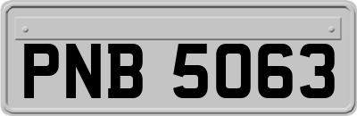 PNB5063