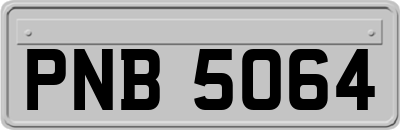 PNB5064