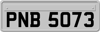 PNB5073