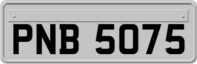 PNB5075