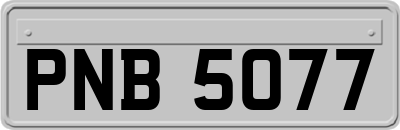 PNB5077