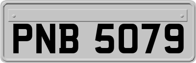 PNB5079
