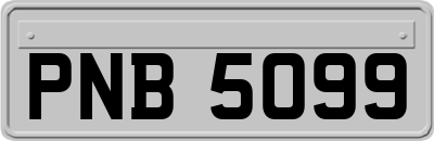 PNB5099