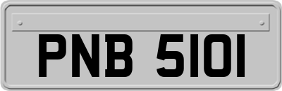 PNB5101