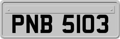 PNB5103