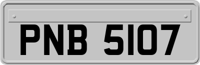 PNB5107