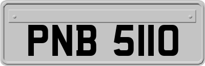 PNB5110