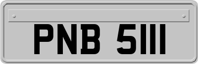 PNB5111