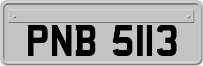 PNB5113