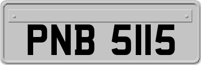 PNB5115