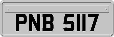 PNB5117