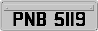 PNB5119