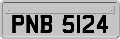 PNB5124
