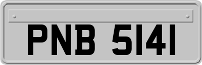 PNB5141