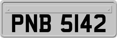 PNB5142