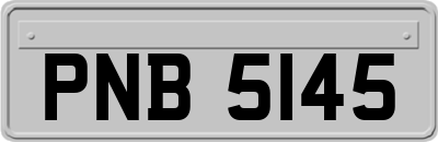 PNB5145
