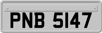 PNB5147