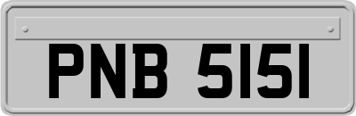 PNB5151