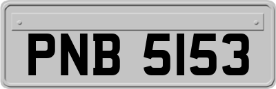 PNB5153