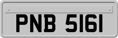 PNB5161