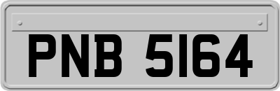 PNB5164