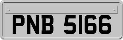 PNB5166
