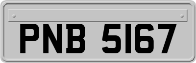 PNB5167