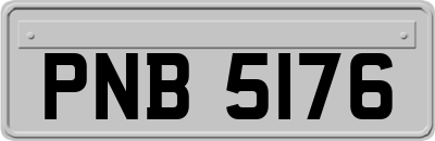 PNB5176