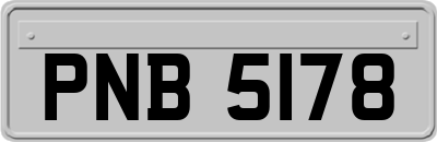 PNB5178