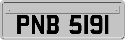 PNB5191